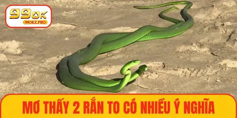 Nằm mơ thấy 2 con rắn to có nhiều ý nghĩa