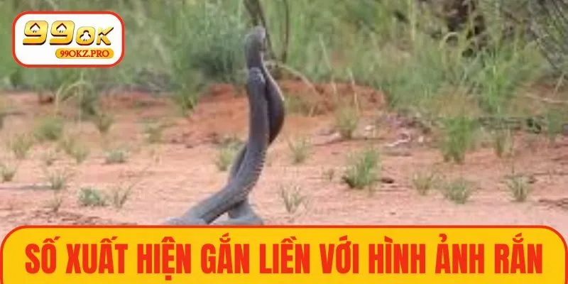 Những số xuất hiện gắn liền với hình ảnh rắn