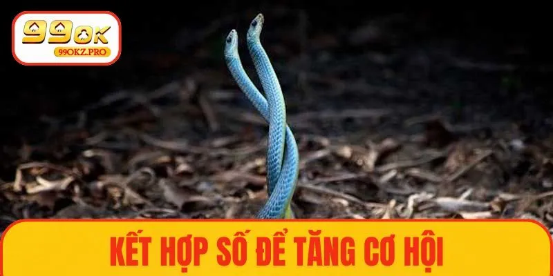 Nằm mơ thấy 2 con rắn to thì đánh số gì chuẩn